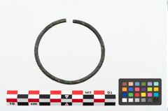 Foto von Bronzearmreif (NHMW-PRAE-025170)